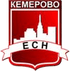 логотип агентство недвижимости Единая Служба Недвижимости ЕСН